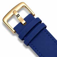 Blue / Gold Buckle