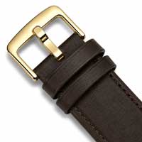 Brown / Gold Buckle