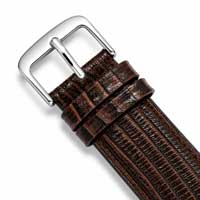 Brown / Silver Buckle