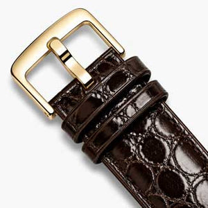 Brown / Gold Buckle
