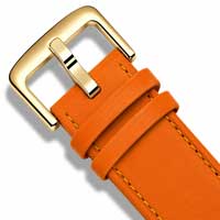 Orange / Gold Buckle