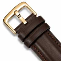 Brown / Gold Buckle