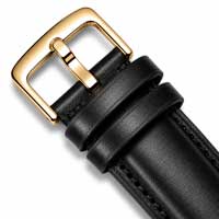 Black / Gold Buckle