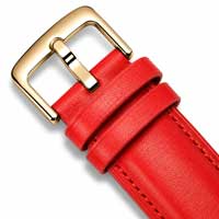 Red / Gold Buckle