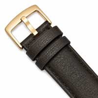 Brown / Gold Buckle