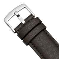 Brown / Silver Buckle
