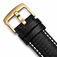 Black and White / Gold Buckle