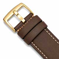 Brown / Gold Buckle