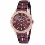 Daniel Klein Women's Watch - Stainless Steel Band - 38mm Analog - Quartz - Rose Gold Tone/Dark Brown - DK12095-5